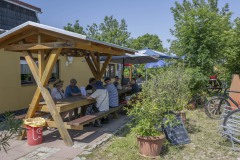 Z905398-WL-Bloomsday-2025-3